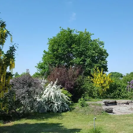 Spreewaldhaus Zum Schoberplatz * Lübben