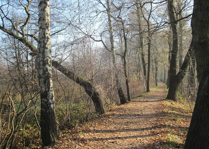Lägenhet Spreewaldhaus Zum Schoberplatz *