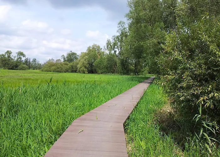 Lägenhet Spreewaldhaus Zum Schoberplatz